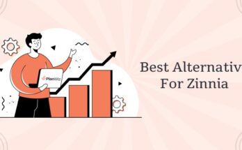 Planwiz Best Zinnia Alternative