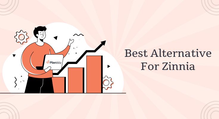 Planwiz Best Zinnia Alternative
