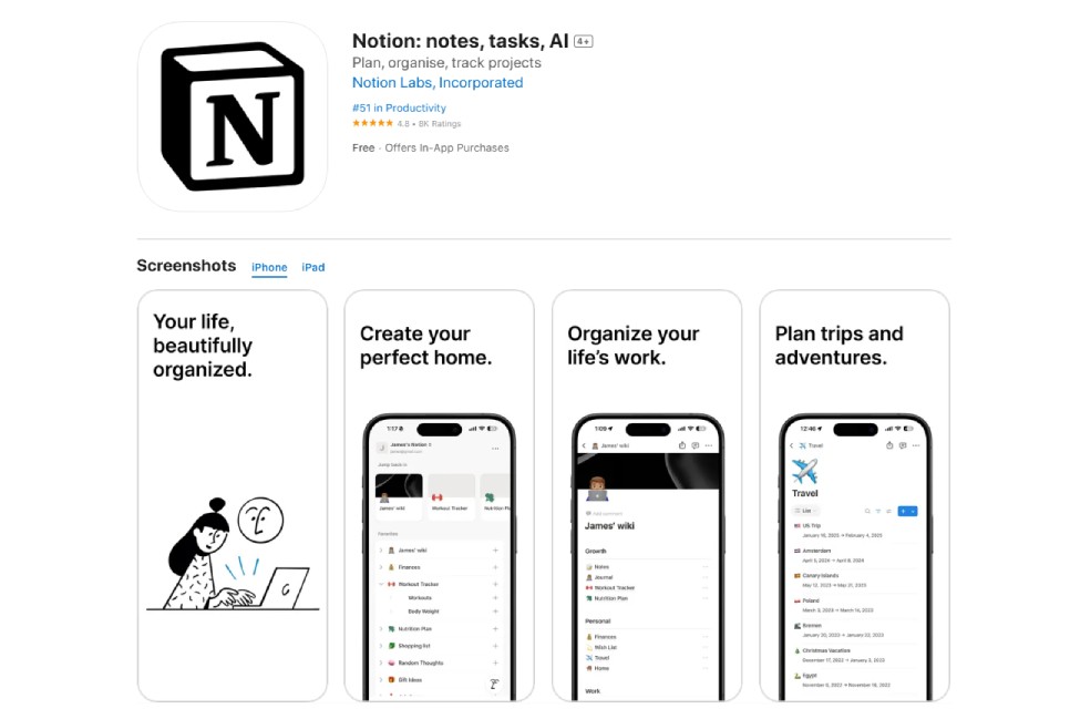 Notion daily routine app