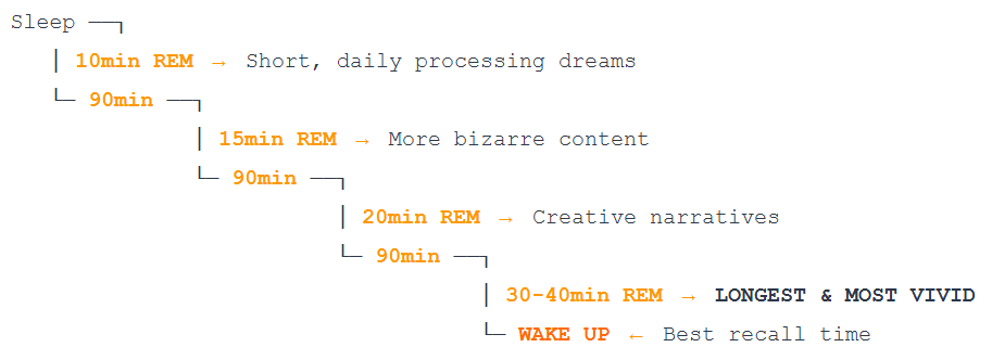 REM cycle showing best recall times